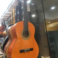 گیتار دسالو