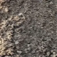 کود گاوی .وکود مرعی