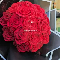 گل رز روبانی