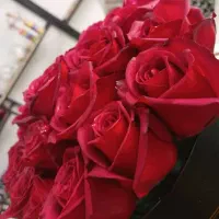 ۷۲ متر گلخانه