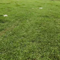 300 متر زمین با سند تک‌برگ