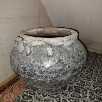 گلدان|گل و گیاه طبیعی|قرچک, مهدیه|دیوار
