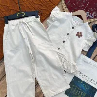 کالکشن تابستان