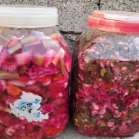 ترشی زینب خانوم|حراج|نقده, |دیوار