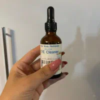 گربه اسکاتیش پرشین|گربه|تربتحیدریه, کوه سنگی|دیوار