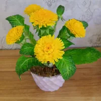 گلدان گل چینی