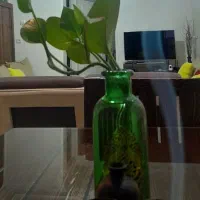 همخانه همخونه خانه دارم