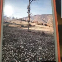 ۲۱ هزار متر زمین کشاورزی جاده کندولوس