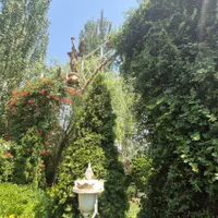 باغ تالار رویایی روشنا باغ عروس|خدمات پذیرایی، مراسم|چهارباغ, |دیوار