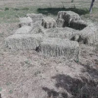 پرس گیاه و یونجه