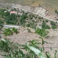 فروش زمین|فروش زمین و ملک کلنگی|آبعلی, |دیوار