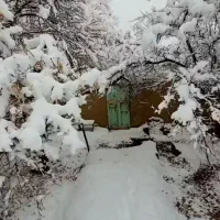 تک-خواب-پاییز-ابتدای-خیابان