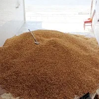 فروش انجیر تازه و ارسال هر تناژی به کل ایران