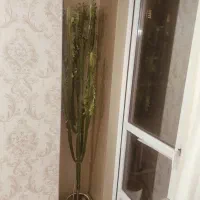 گل طبیعی تریگونا درختی