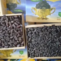 خرما درجه یک مضافتی به قیمت عالی|خوردنی و آشامیدنی|بمپور, |دیوار