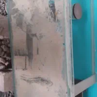 آکواریوم خم