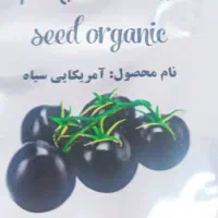 معجزه ای در کاشت گوجه|عمده‌فروشی|شیراز, کوی زهرا|دیوار