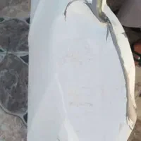 اطلس مدل ۴۰۲|خودرو سواری و وانت|تربتحیدریه, شهید قرنی|دیوار