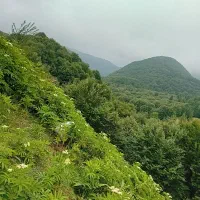 لیدرمحلی|فعالیت داوطلبانه تحقیقاتی|تهران, زعفرانیه|دیوار