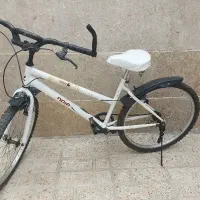 دوچرخه بزرگسال