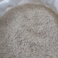 برنج طارم هاشمی|خوردنی و آشامیدنی|سمنان, |دیوار