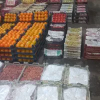 تهیه میوه وفرنگی وسیفجات برای میوه فروشی وتالارخا|خدمات پذیرایی، مراسم|تهران, زمزم|دیوار