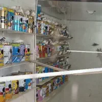 لونه فنج