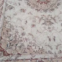 فرش سرمه ای و کرم|فرش|شاهرود, |دیوار