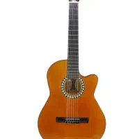 گیتار دیاموند