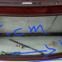 اکواریوم شرکتی