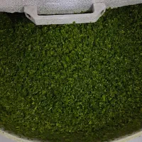 سبزی آشی کیلویی 60