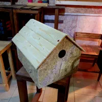 خانه پت / چوبی|لوازم جانبی حیوانات|مشهد, الهیه|دیوار