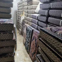 پخش پشتی موکت در زرین رود|موکت|بزینه رود, |دیوار