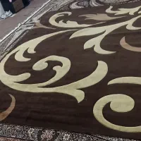 فرش و موکت|فرش|اهواز, کوی ملی راه|دیوار