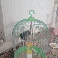 سلام ا عدد مینا سالم سلامت