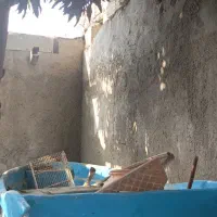 تشت ماهی گیری