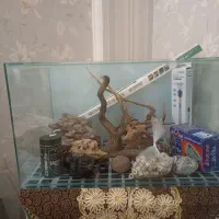 آکواریوم ریملس