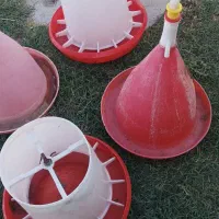 دانخوری اب خوری لامپ