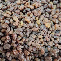 بادام وکشمش|خوردنی و آشامیدنی|مشکیندشت, |دیوار