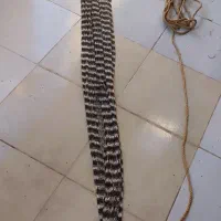 تور ماهیگیری 20متری