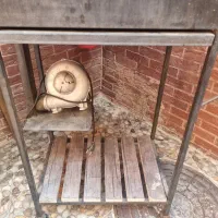 باربیکیو ذغالی با فن|اجاق گاز و لوازم برقی پختوپز|تهران, علم و صنعت|دیوار