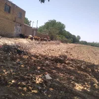 املاک