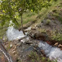 فروش باغ معاوضه