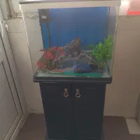 اکواریوم شرکتی