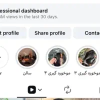 شریک-برای-اجاره-اتاق