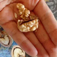 بادام عالی شب یلدا شیره انگور آتیشی گردو مغز سفید|خوردنی و آشامیدنی|محلات, |دیوار