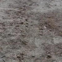 زمین-فروشی-نوش-اباد