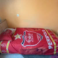 تخت تک نفره با طرح پرسپولیس