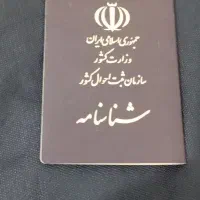 شناسنامه پیدا شده