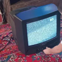 تلویزیون